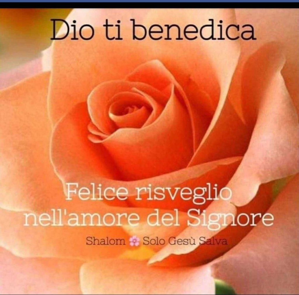 Dio ti benedica. Felice risveglio nell'amore del Signore (Shalom solo Gesù salva)