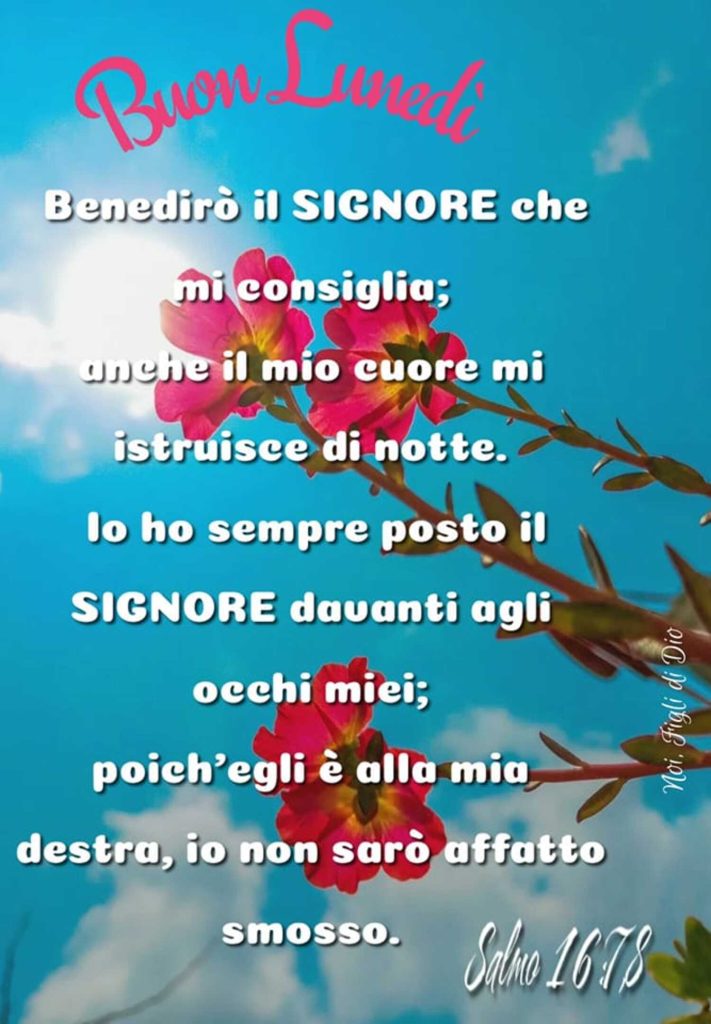 Buon Lunedì. Benedirò il Signore che mi consiglia; anche il mio cuore mi istruisce di notte. Io ho sempre posto il Signore davanti agli occhi miei; poich' Egli è alla mia destra, io non saro affatto smosso. - Salmo 16:78
