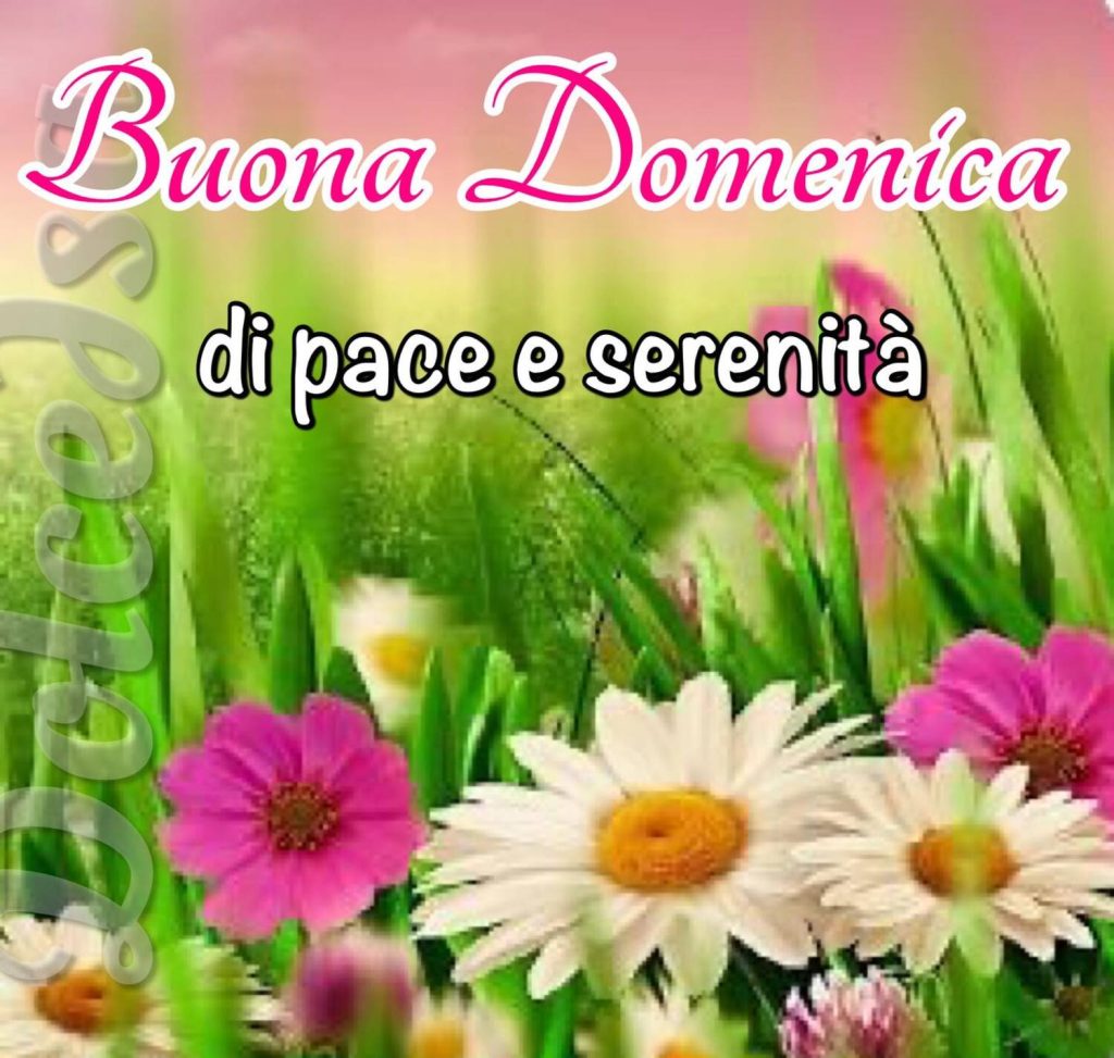 Buona Domenica di pace e serenità