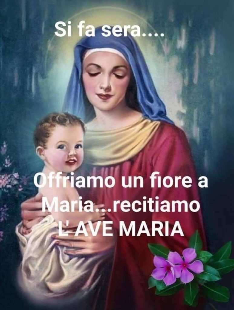 buona serata Madonnina