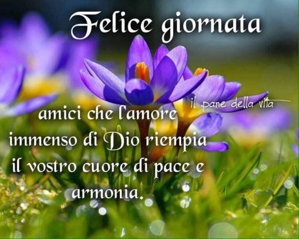 Felice Giornata amici, che l'amore immenso di Dio riempia il vostro cuore di pace e armonia.