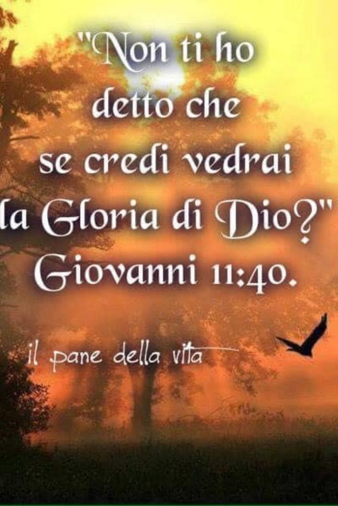 "Non ti ho detto che se credi vedrai la Gloria di Dio?" - Giovanni 11:40 (Il pane della vita)