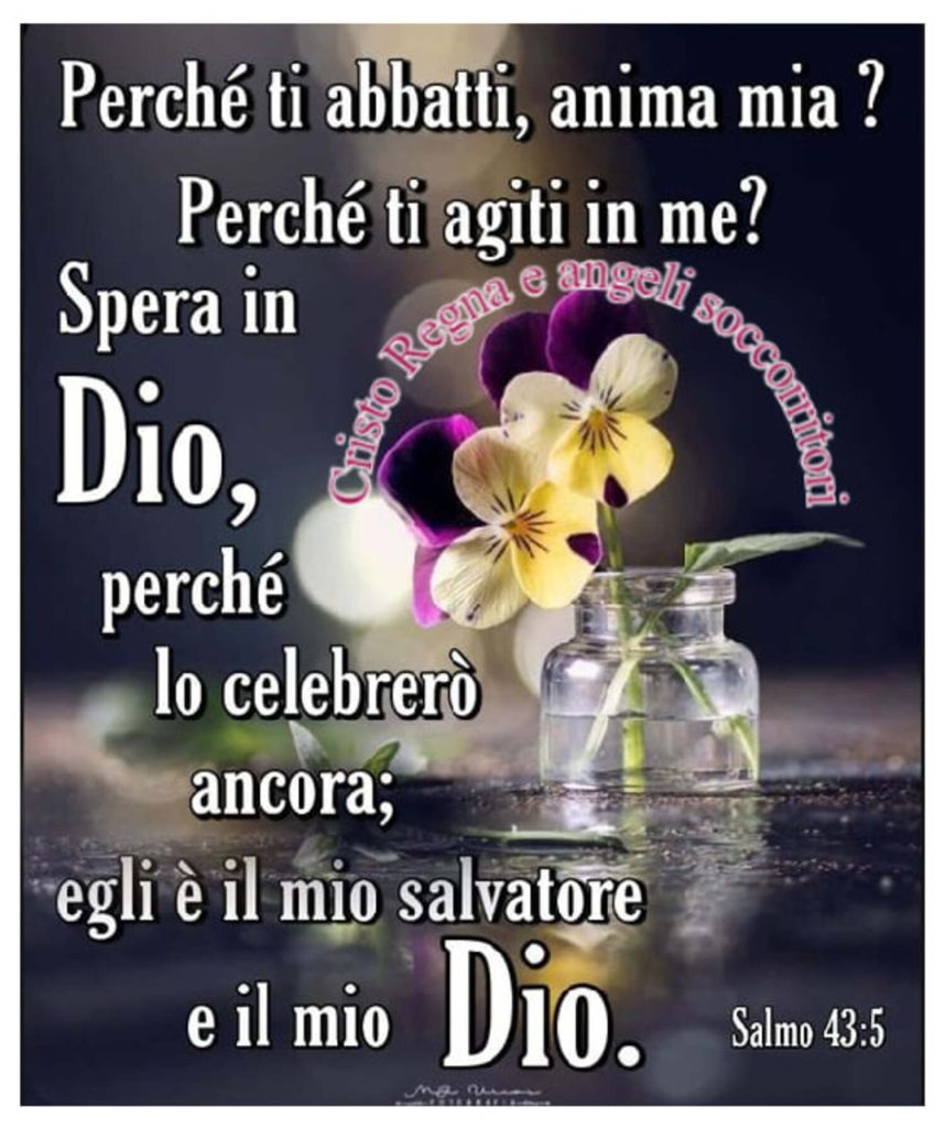 Perché ti abbatti, anima mia? Perché ti agiti in me? Spera in Dio, perché lo celebrerò ancora; Egli è il mio salvatore e il mio Dio. - Salmo 43:5