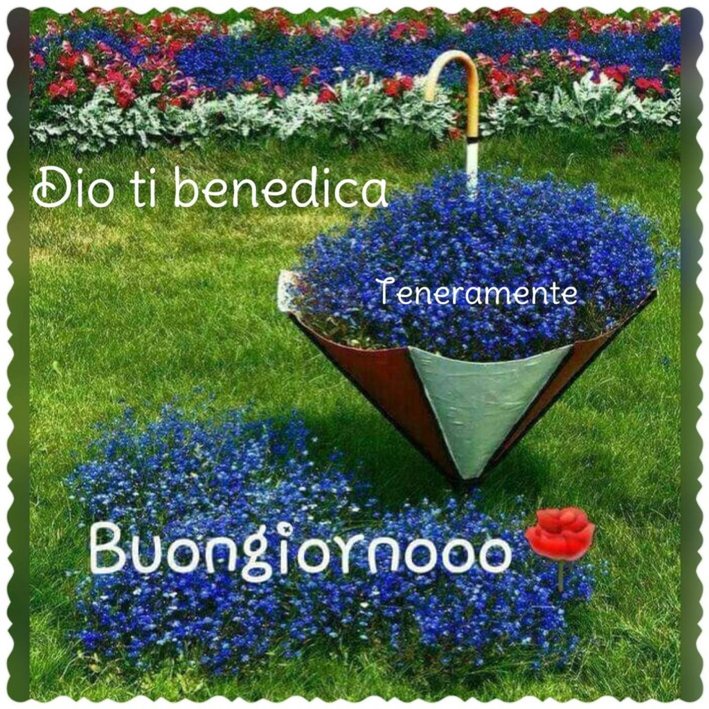 Dio ti benedica. Buongiornooo 🌹