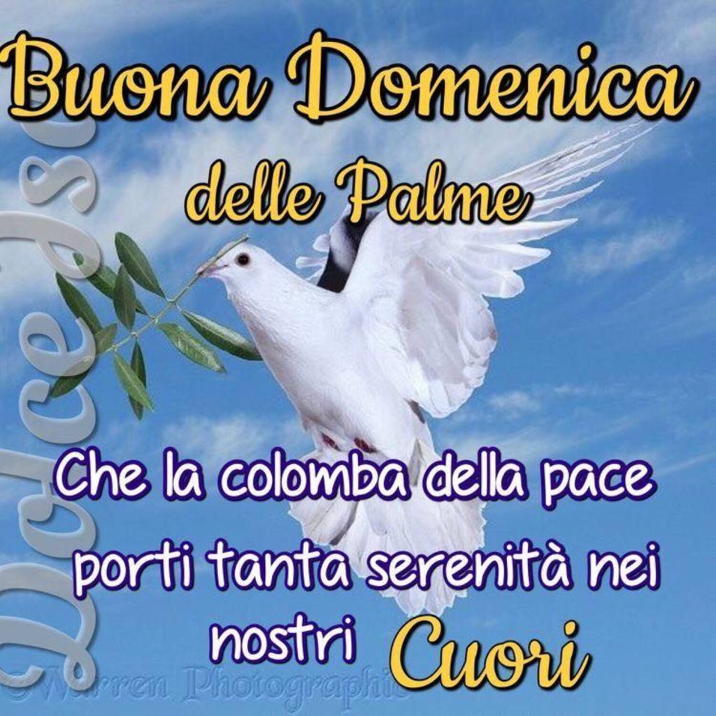 Buona Domenica delle Palme. Che la colomba della Pace porti tanta serenità nei nostri cuori. 🕊