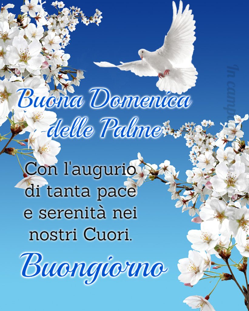 Buongiorno. Buona Domenica delle Palme. Con l'augurio di tanta pace e serenità nei nostri cuori. 