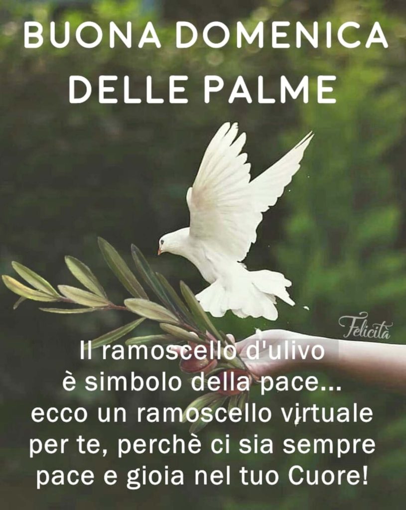 BUONA DOMENICA DELLE PALME. Il ramoscello d'ulivo è simbolo della pace... ecco un ramoscello virtuale per te, perché ci sia sempre pace e gioia nel tuo cuore! (Felicità)