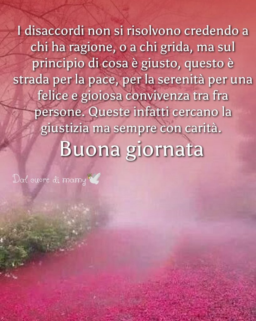 I disaccordi non si risolvono credendo a chi ha ragione, o a chi grida, ma sul principio di cosa è giusto..... Buona Giornata