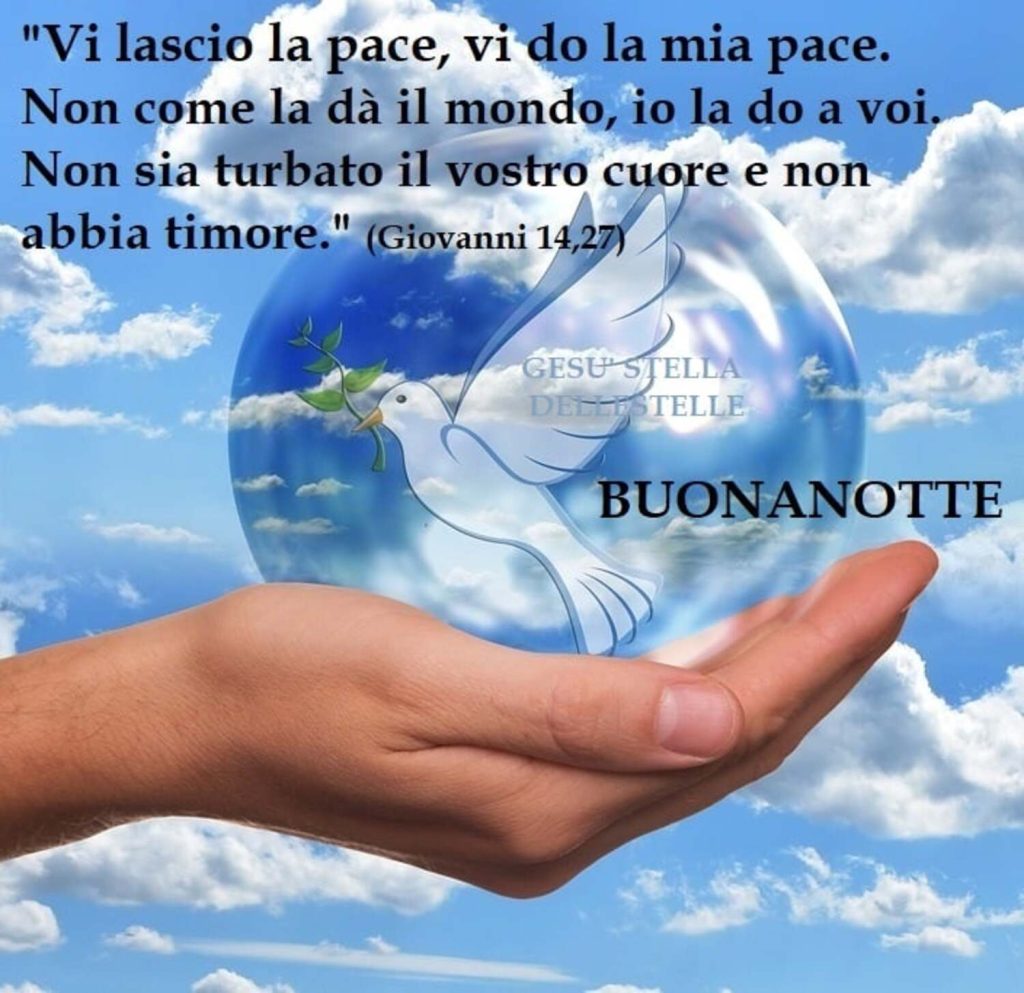 "Vi lascio la pace, vi do la mia pace. Non come la dà il mondo, io la do a voi. Non sia turbato il vostro cuore e non abbia timore." - Giovanni 14,27 - BUONANOTTE 🕊️