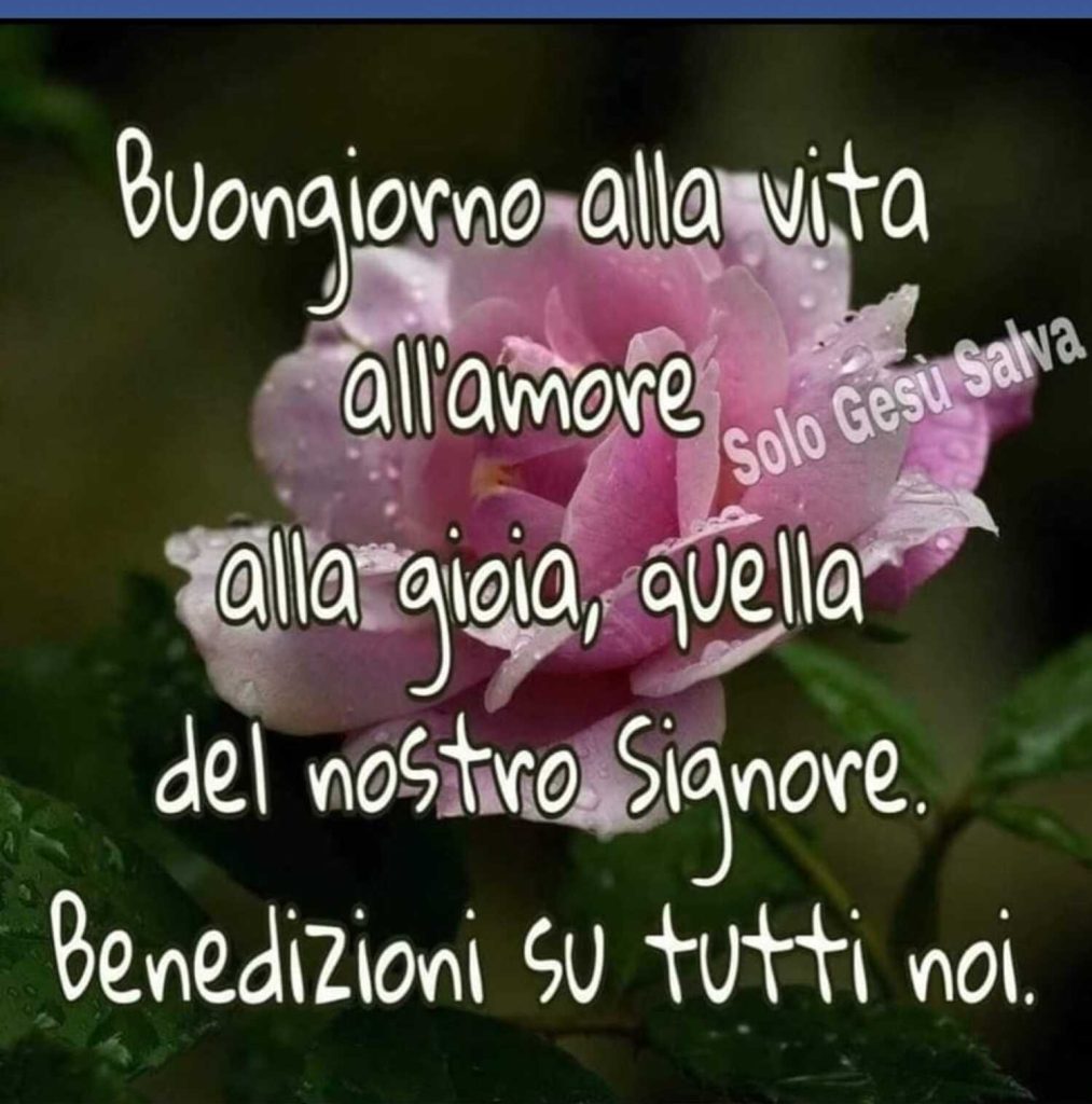 Buongiorno alla vita, all'amore, alla gioia, quella del nostro Signore. Benedizioni su tutti noi.