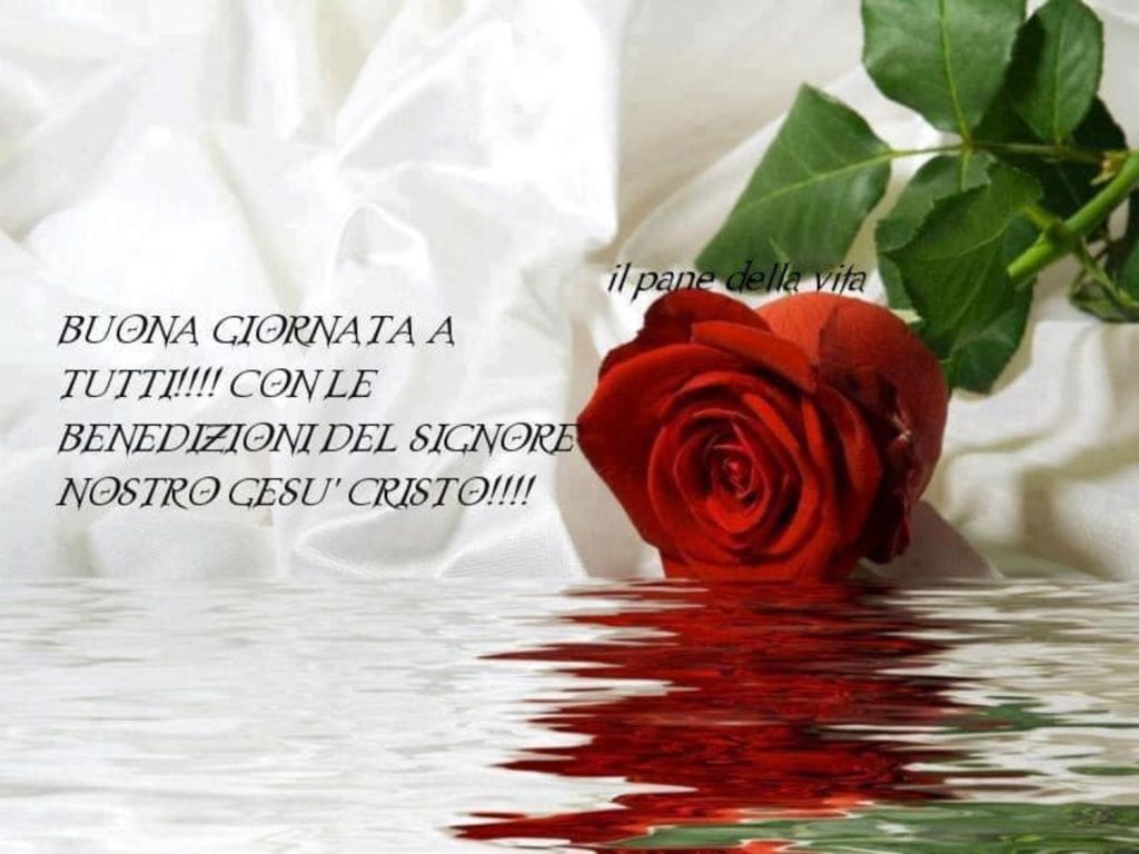 Buona Giornata a tutti !!!! Con le benedizioni del Signore Nostro Gesù Cristo !!!! 🌹