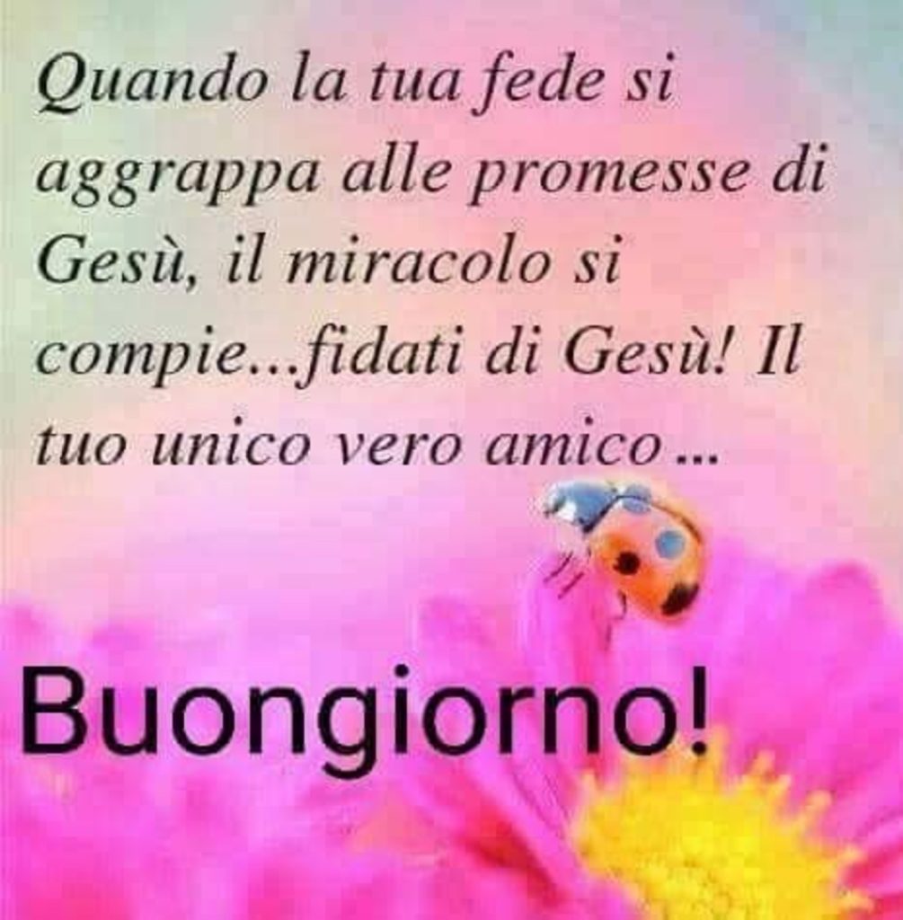 Quando la tua fede si aggrappa alle promesse di Gesù, il miracolo si compie... fidati di Gesù! Il tuo unico vero amico... Buongiorno! 🐞