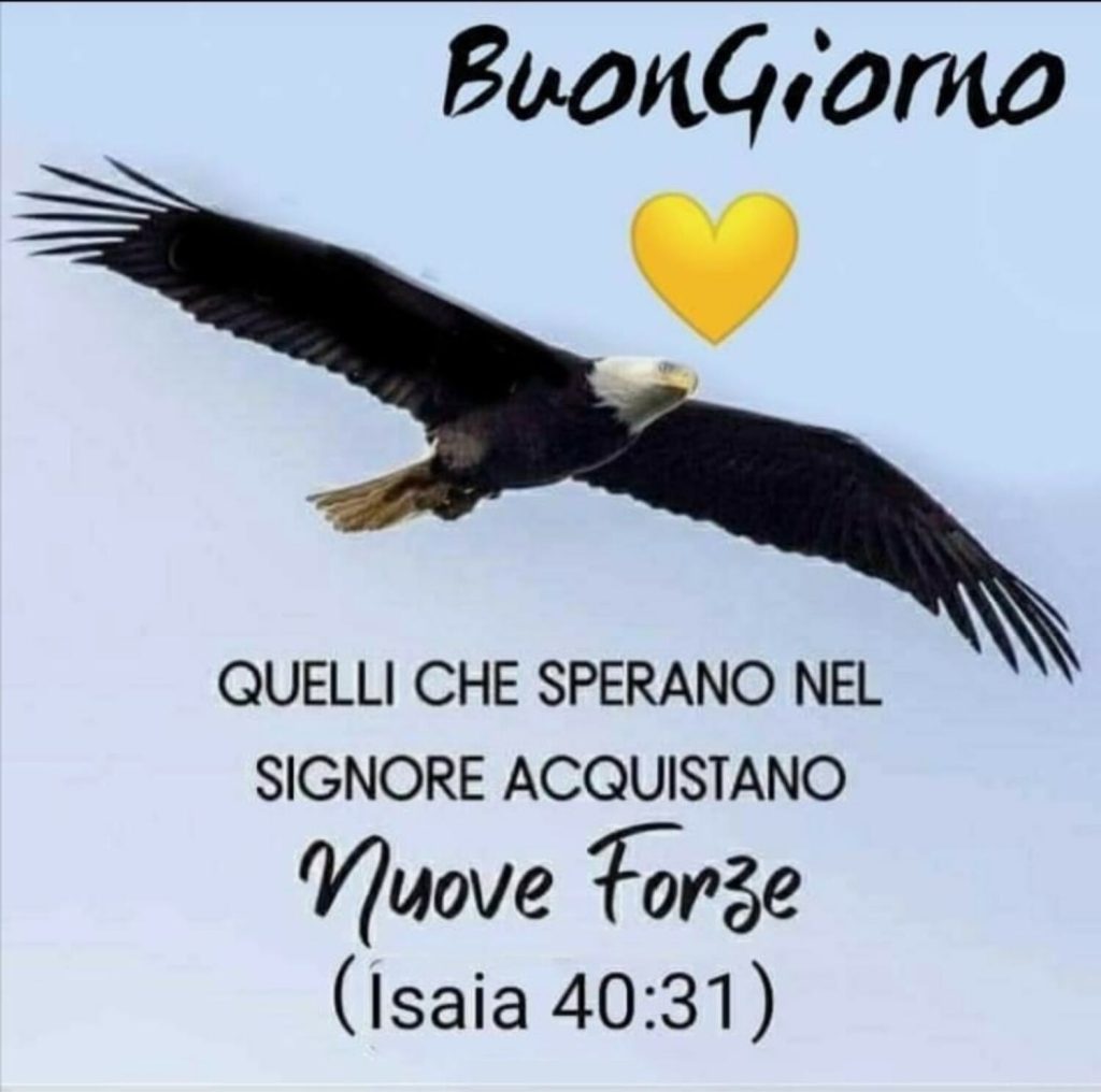 BuonGiorno 💛 Quelli che sperano nel Signore, acquistano nuove forze. - Isaia 40:31