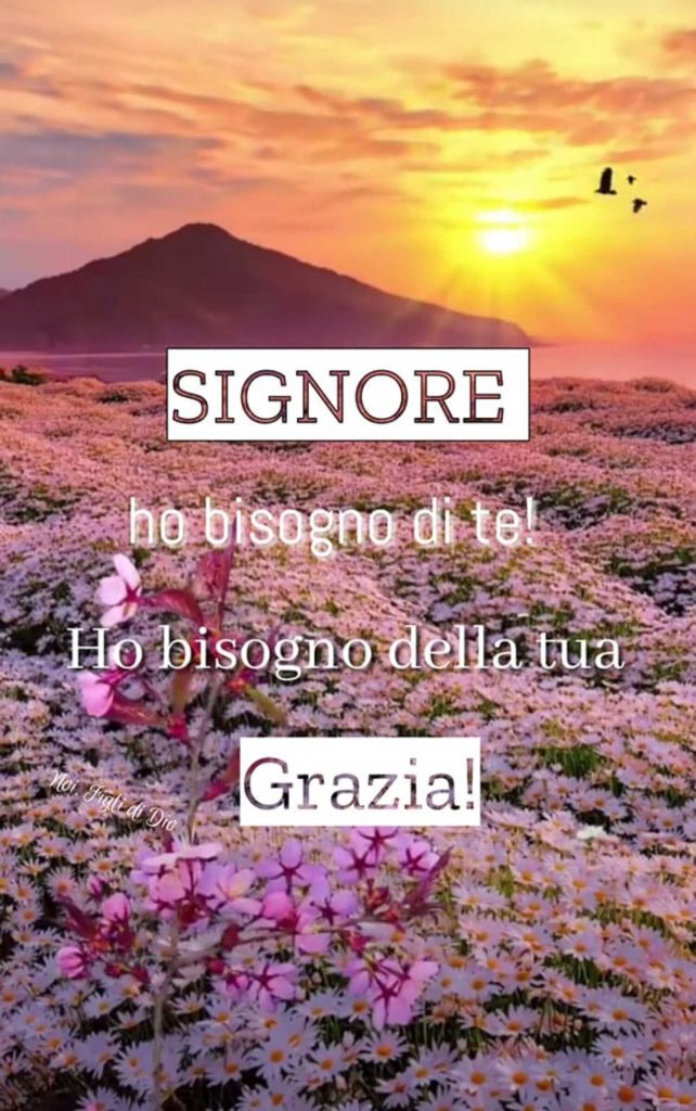 Signore, ho bisogno di Te! Ho bisogno della Tua Grazia!