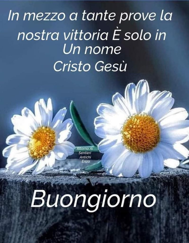 In mezzo a tante prove la nostra vittoria è solo in un nome: Cristo Gesù! Buongiorno