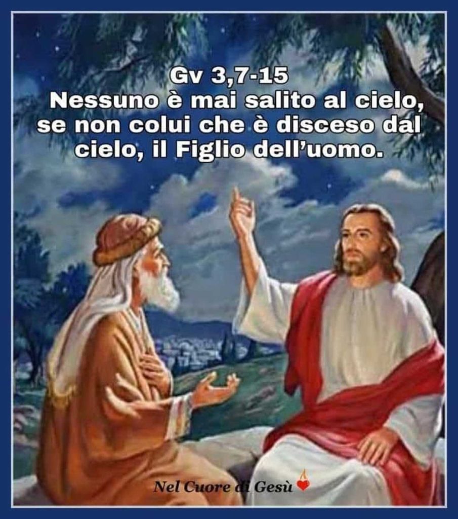 Nessuno è mai salito al cielo, se non Colui che è disceso dal cielo, il Figlio dell'uomo. - Gv 3,7-15