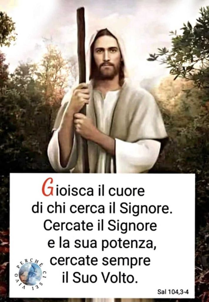 Gioisca il cuore di chi cerca il Signore. Cercate il Signore e la sua potenza, cercate sempre il Suo Volto. - Salmo 104,3-4