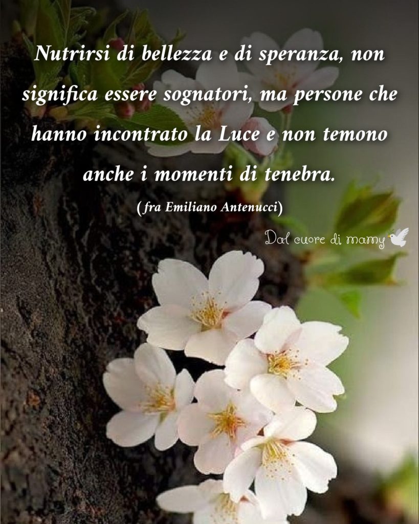 Nutrirsi di bellezza e di speranza, non significa essere sognatori, ma persone che hanno incontrato la Luce e non temono anche i momenti di tenebra. (Fra Emiliano Antenucci)