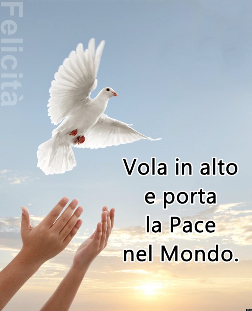 Vola in alto e porta la Pace nel Mondo. 🕊