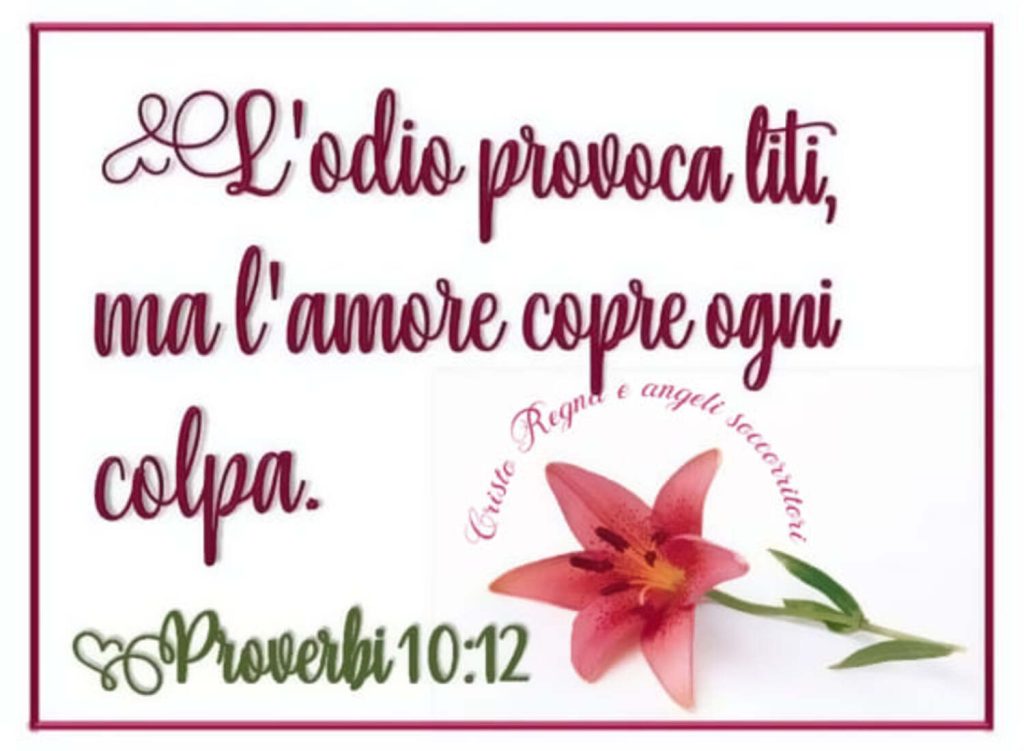 L'odio provoca liti, ma l'amore copre ogni colpa. - Proverbi 10:12