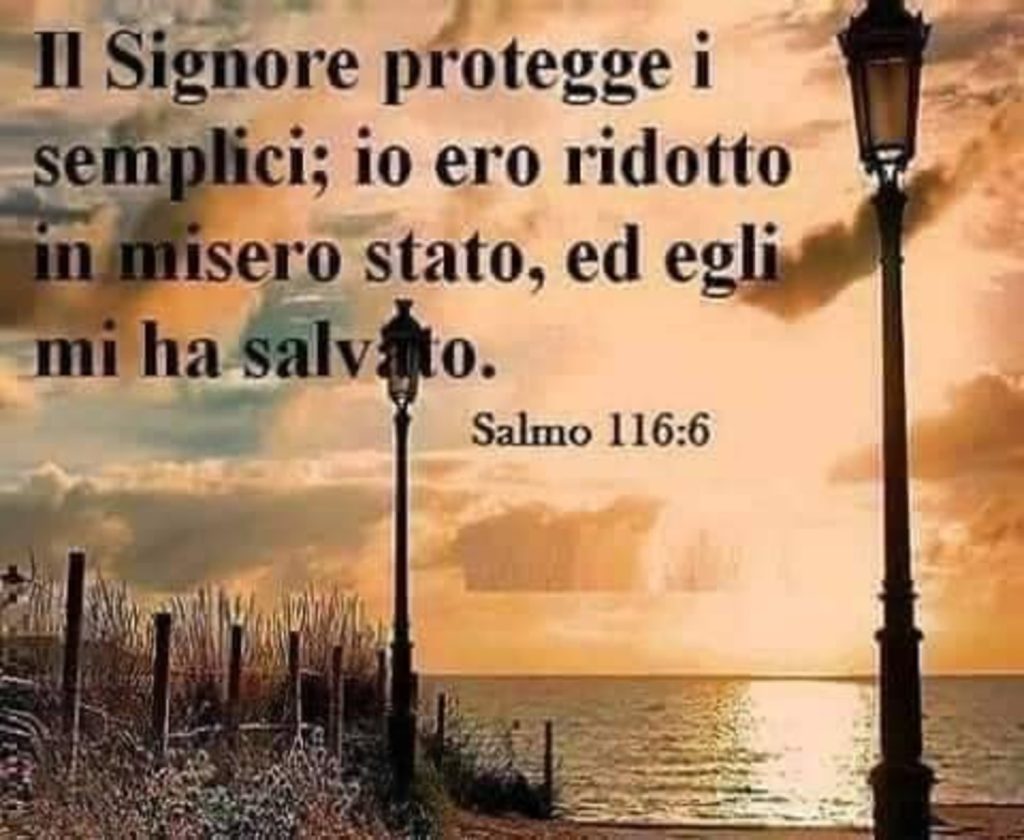 Il Signore protegge i semplici; io ero ridotto in misero stato, ed Egli mi ha salvato. - Salmo 116:6