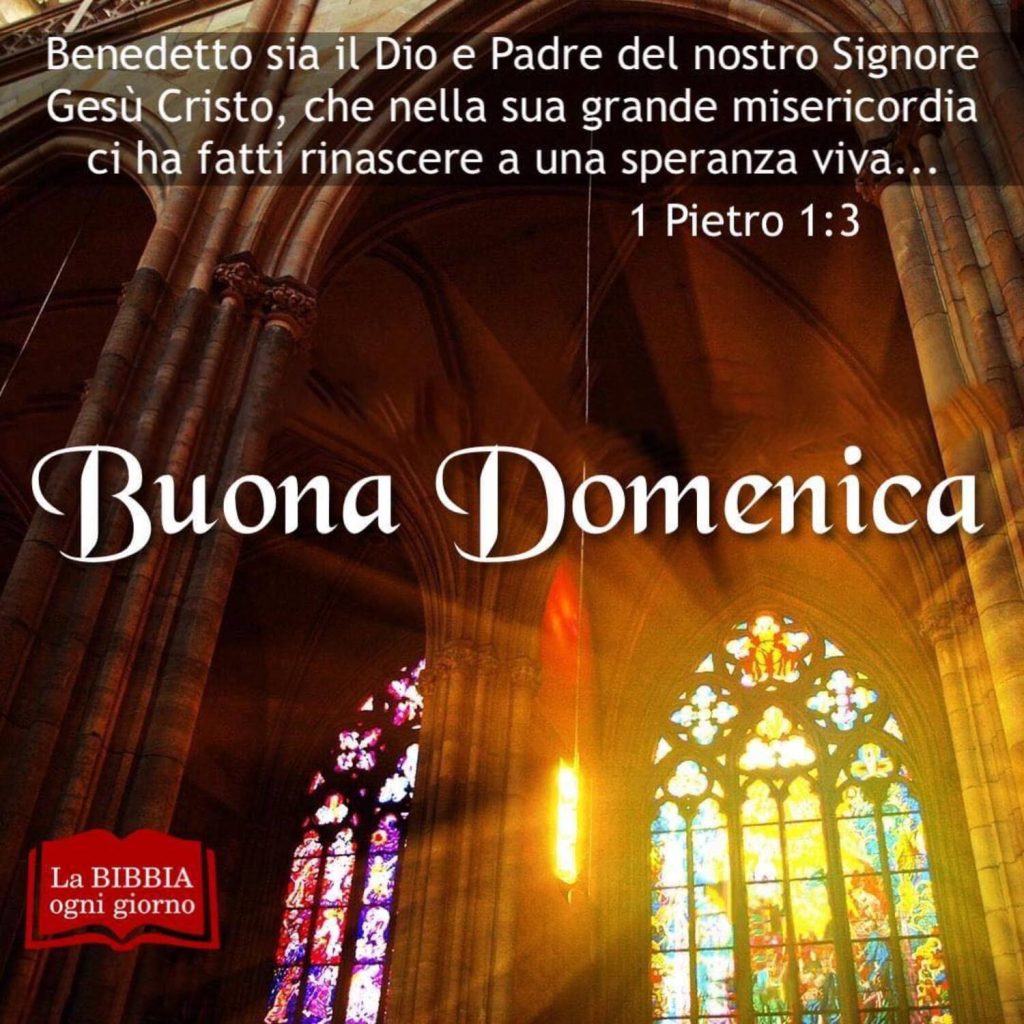 Benedetto sia il Dio e Padre del nostro Signore Gesù Cristo, che nella Sua grande misericordia ci ha fatti rinascere a una speranza viva... - 1 Pietro 1:3 - Buona Domenica