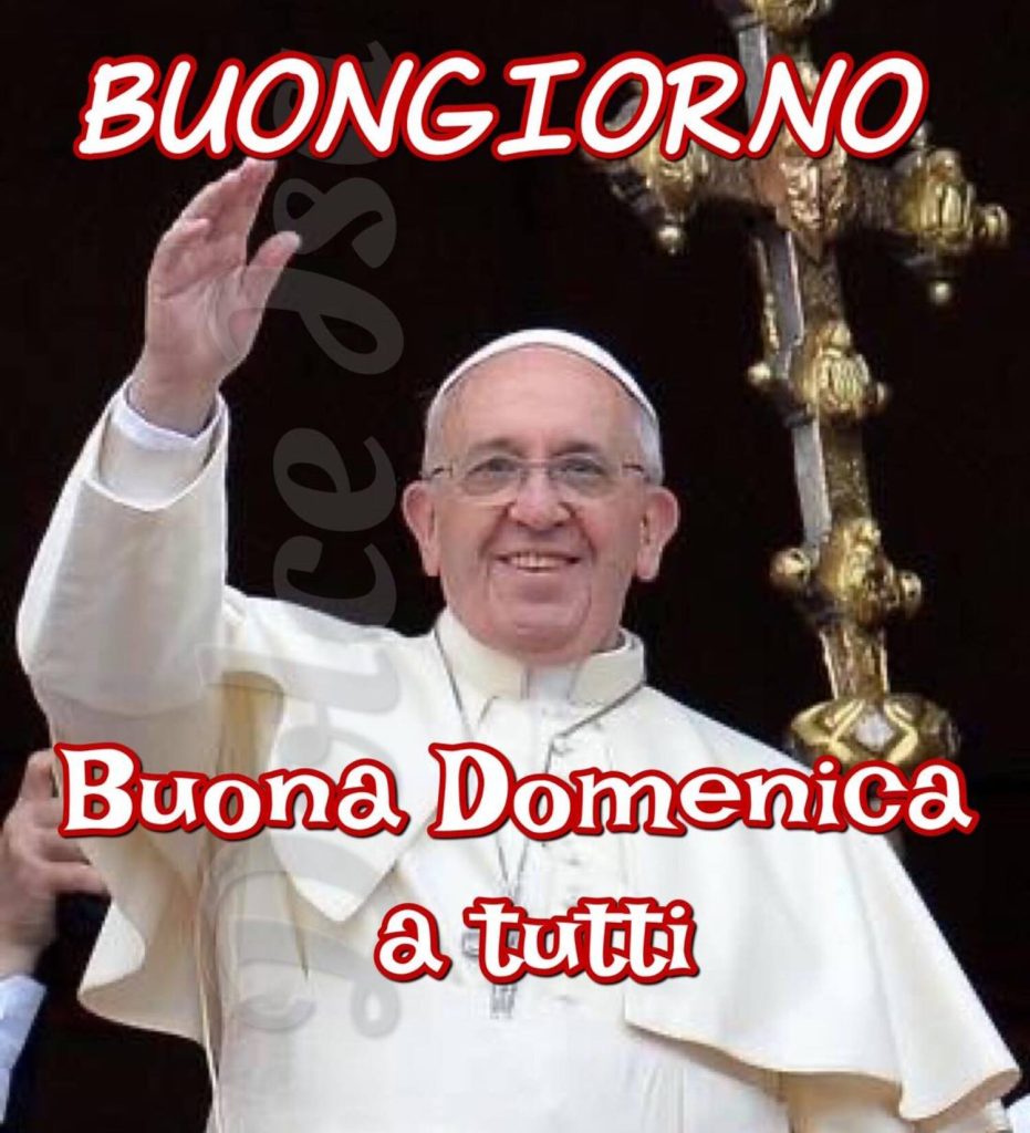 Papa Francesco: " Buona Domenica a tutti!"