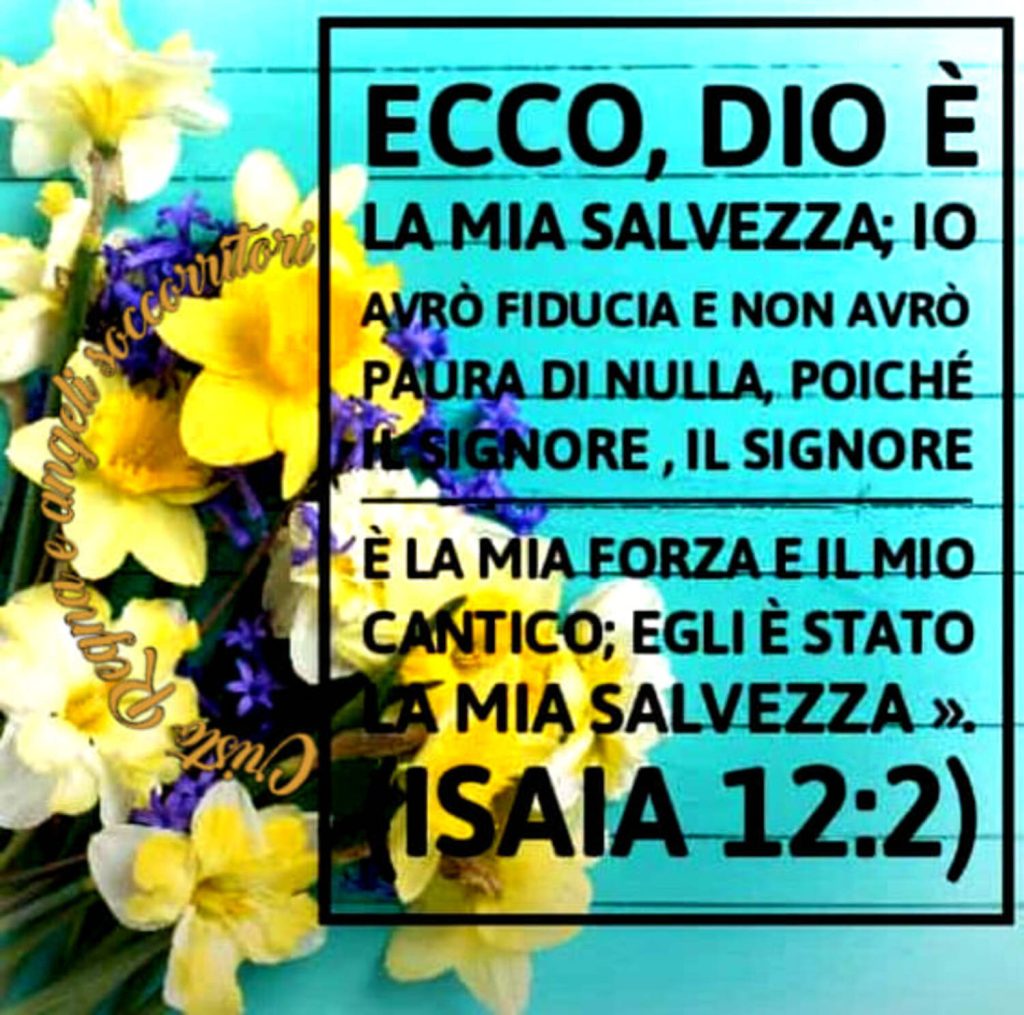 Ecco, Dio è la mia salvezza; io avrò fiducia e non avrò paura di nulla, poiché il Signore, il Signore è la mia forza e il mio cantico; Egli è stato la mia salvezza. - Isaia 12:2